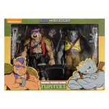 NECA Teenage Mutant Ninja Turtles TMNT Cartoon Bebop Rocksteady 2-pack Target Exclusive Box package Front