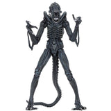 NECA Aliens Warrior Alien Blue Ultimate Edition action figure toy xenomorph front