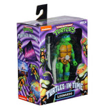 NECA TMNT Teenage Mutant Ninja Turtles In Time Leonardo Video Game Box Package Angle