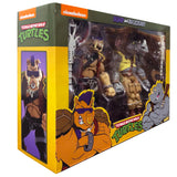 NECA TMNT teenage mutant ninja turtles cartoon bebop and rocksteady 2pack target exclusive second run box package front angle