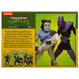 NECA TMNT Teenage Mutant Ninja Turtles Cartoon Casey Jones vs Foot Soldier Slashed 2-pack Box package back