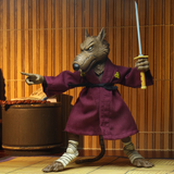 NECA TMNT Teenage Mutant Ninja Turtles Cartoon Splinter vs. Baxter 2-pack target exclusive action figure toy