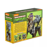 NECA Teenage Mutant Ninja Turtles TMNT Cartoon Bebop Rocksteady 2-pack Target Exclusive Box package Back Side