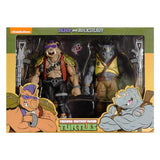 NECA Teenage Mutant Ninja Turtles TMNT Cartoon Bebop Rocksteady 2-pack Target Exclusive Box package Front