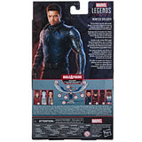 Hasbro Marvel Legends Series Disney+ Winter Soldier Bucky Box package back