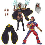 Hasbro Marvel Legends Series Storm thunderbird target exclusive 2pack action figure toys