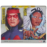 Hasbro Marvel Legends Series Storm thunderbird target exclusive 2pack box package back