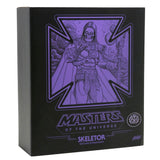 Mondo MOTU Masters of the Universe Skeletor Designer Con 2019 Exclusive Box Package