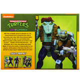 NECA TMNT teenage mutant ninja turtles cartoon slash and leatherhead 2pack box package Back