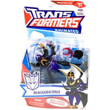 Transformers Animated Deluxe Decepticon Blackarachnia Package
