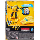 Transformers Generations Buzzworthy Origin Bumblebee Deluxe Target Exclusive Box Package back