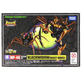 Transformers Masterpiece MP-16 Black Widow Arachnia Japan Takara Box Package Front