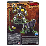 Transformers War for Cybertron Kingdom WFC-K31 Shadow Panther deluxe box package back
