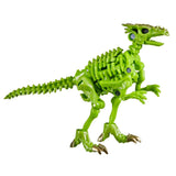 Transformers War for Cybertron Kingdom WFC-K22 Core Dracodon green dinosaur skeleton toy
