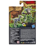 Transformers War for Cybertron Kingdom WFC-K3 Core vertebreak fossilizer box package back