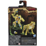 Transformers War for Cybertron Kingdom WFC-K4 Deluxe Cheetor Box Package Back Printed Hang Tab Variant