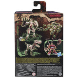 Transformers War for Cybertron Kingdom WFC-K7 Deluxe paleotrex fossilizer box package back Printed Hang tab variant