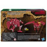 Transformers War for Cybertron Kingdom Golden Disk Collection chapter4 Terrorsaur deluxe amazon exclusive box package back